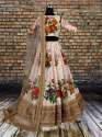 Party wear Lehanga Choli