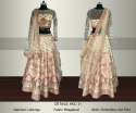 Designer wedding wear Bhagalpuri Lehenga