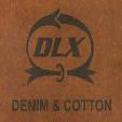 Dlx Company logo icon