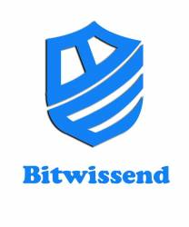 Bitwissend Technologies logo icon