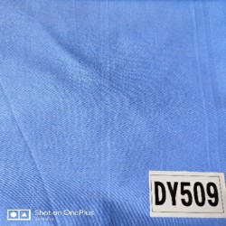 DY 509
