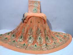 Half Pure Rajputi Gotta Patti Poshak 