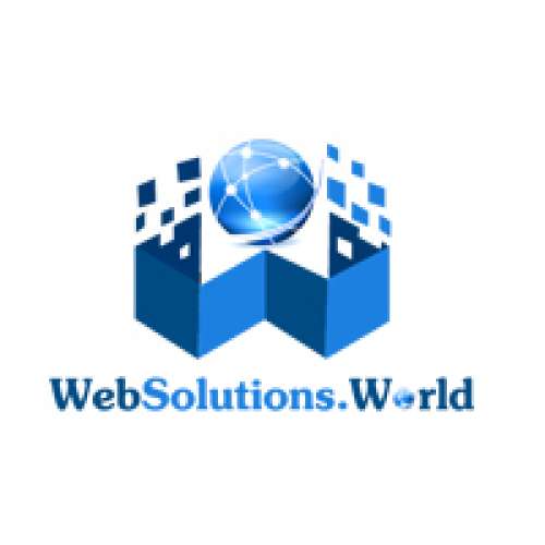 WebPreneurs Pvt Ltd About The Company