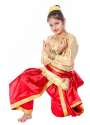 Kathak dance Dress