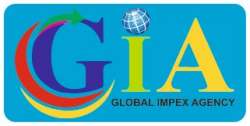 Global Impex Agency logo icon