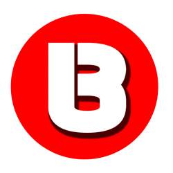 B Pramanik Associates logo icon