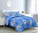Sky Blue Color Kind Size Bed sheet thumb 1