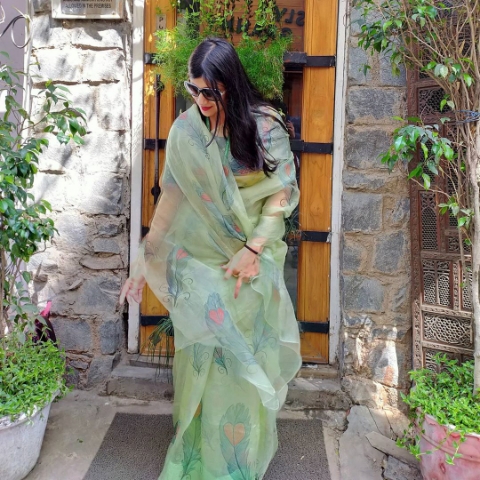 designer organza saree by krishna textiles