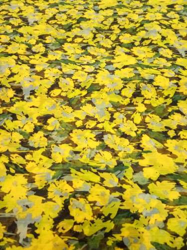 fancy sunflower print