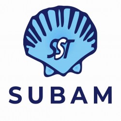 subam exports logo icon