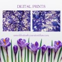 DIGITAL PRINTS thumb 7