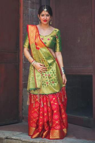 Designer Patola saree