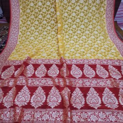 Exclusive Banarasi Handwoven Chiffon Jaal Saree