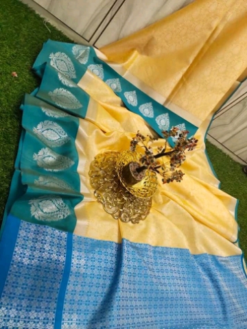 Exclusive Banarasi tanchoi soft kora muslin silk with running brocade blouse 