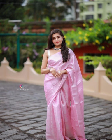 Exclusive Pure Banarasi Brocade Silk Jaal Saree