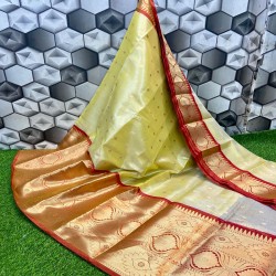 Fancy Tissue Big Scart Border Saree