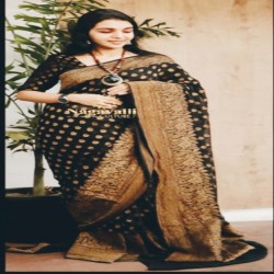 The Most Expensive Banarasi Smei Georgette Saree