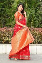 Banarasi Silk Saree