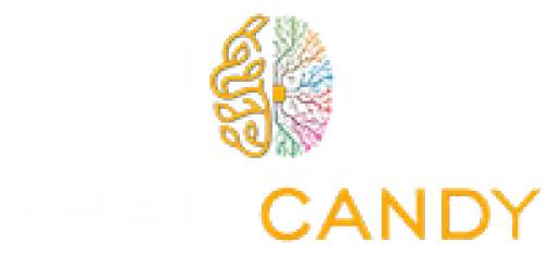 Braincandy Digital Marketing Company in Mumbai