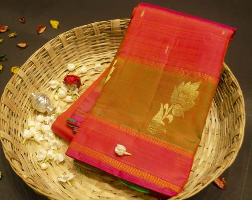 Rose Kanchipuram Silk Saree