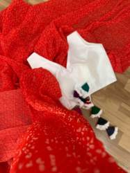 Bandhni Pleated saree