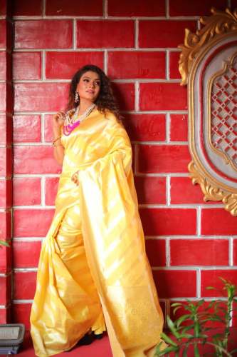 Stylish Soft Lichi Banarasi Silk Saree by Avira Fab