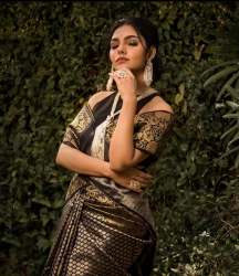 Designer Banarasi Silk Saree