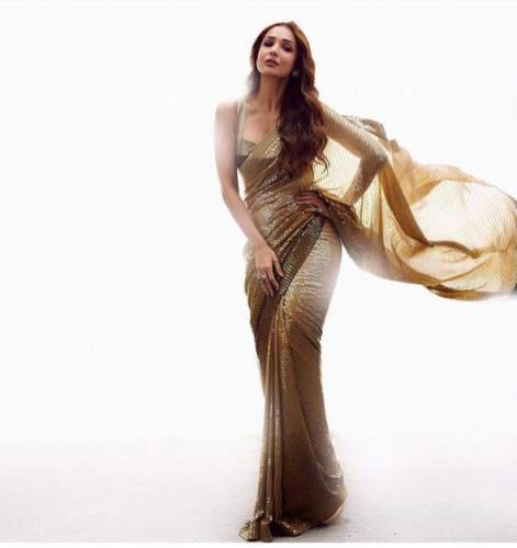 Morpankh Creation Georgette Saree