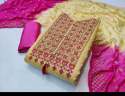 dress-chanderi-with-emboridry-work