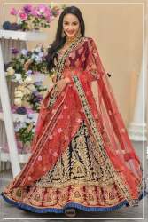 lehnga choli exclusive butterfly net