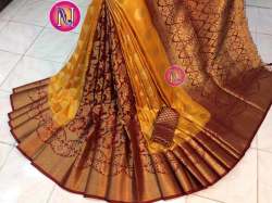 Rich Pallu Nylon Saree
