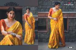 Soft Banarasi silk Zari Patola Saree