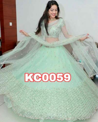 BUTTTERFLY NET WITH EMBROIDERY SECQAUNCE WORK 