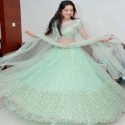 BUTTERFLY NET LEHENGA CHOLI 