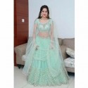BUTTERFLY NET LEHENGA CHOLI  thumb 1