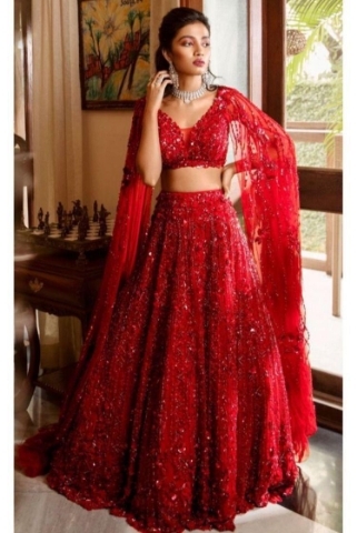 HEAVY SEQUANCE WORK LEHENGHA CHOLI 