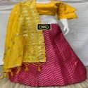 Banarasi brocade lengha thumb 3