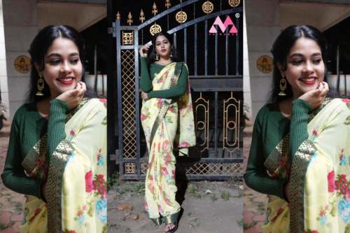 printed saree