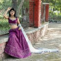 Georgette work choli 