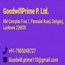 goodwill prime pvt ltd lucknow logo icon