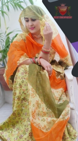 Boutique Florence Print Rajputi Suits
