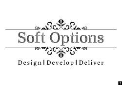 Soft Options logo icon