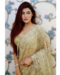 Butterfly Net Embroidered Saree