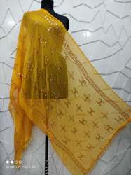 Nazneen Work Heavy Sequence Dupatta 