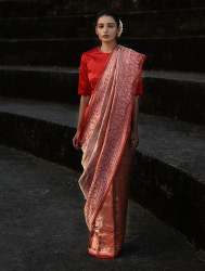 Wedding wear Pure Banarasi silk saree