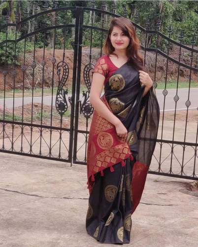 AGNIPATH BEAUTIFUL RICH PALLU & JACQUARD saree