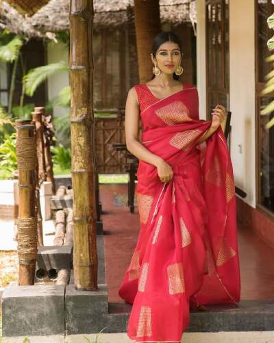 GAJARI SQUER BEAUTIFUL RICH PALLU & JACQUARD saree