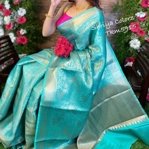 Grand shop work saree