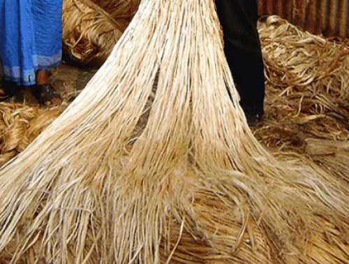 Raw Jute Fiber For Rope  by Fiber Region