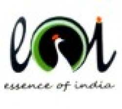 Sole Delight (Essence Of India) logo icon